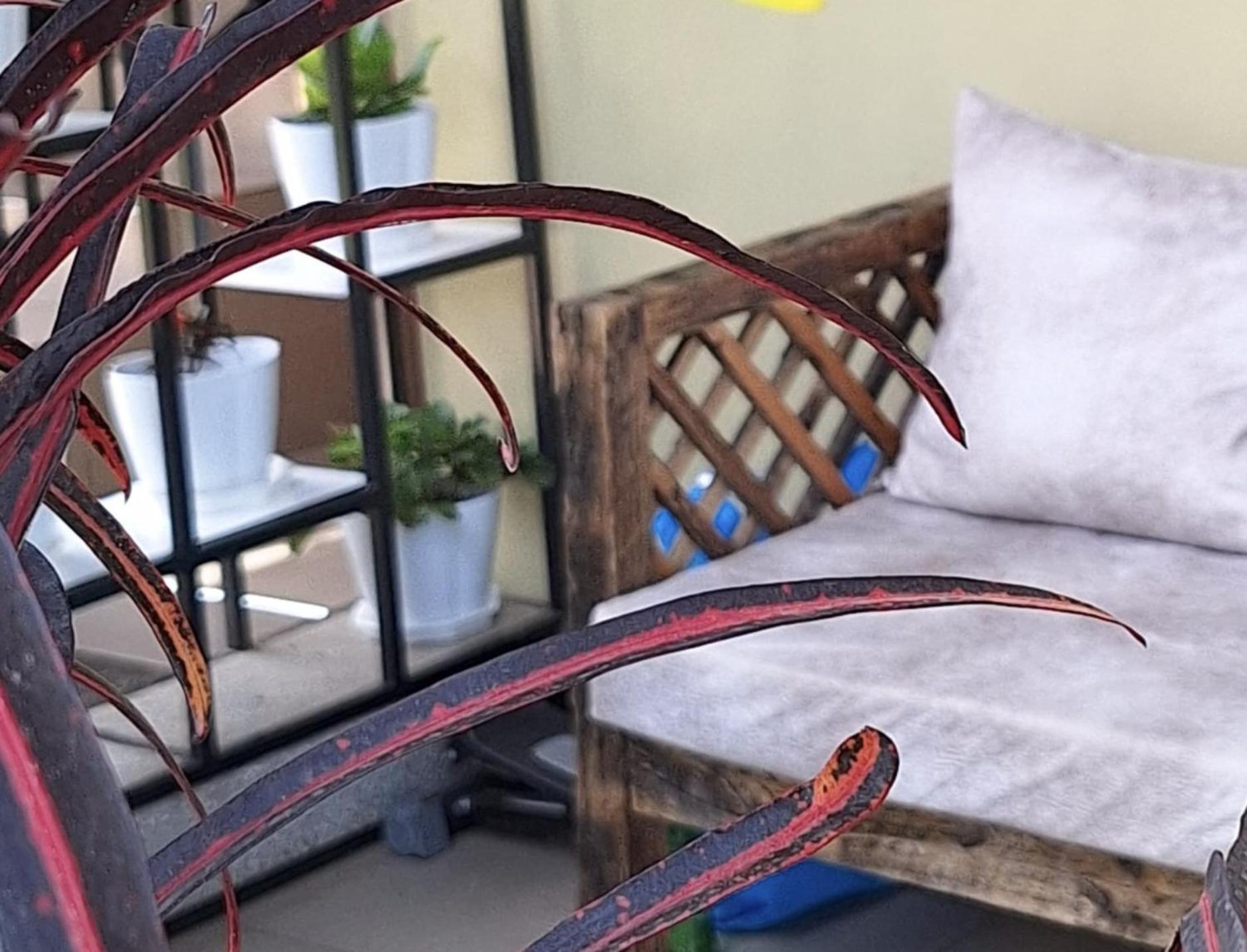 At Home Suites, Moshono Arusha Nkoanrua Dış mekan fotoğraf